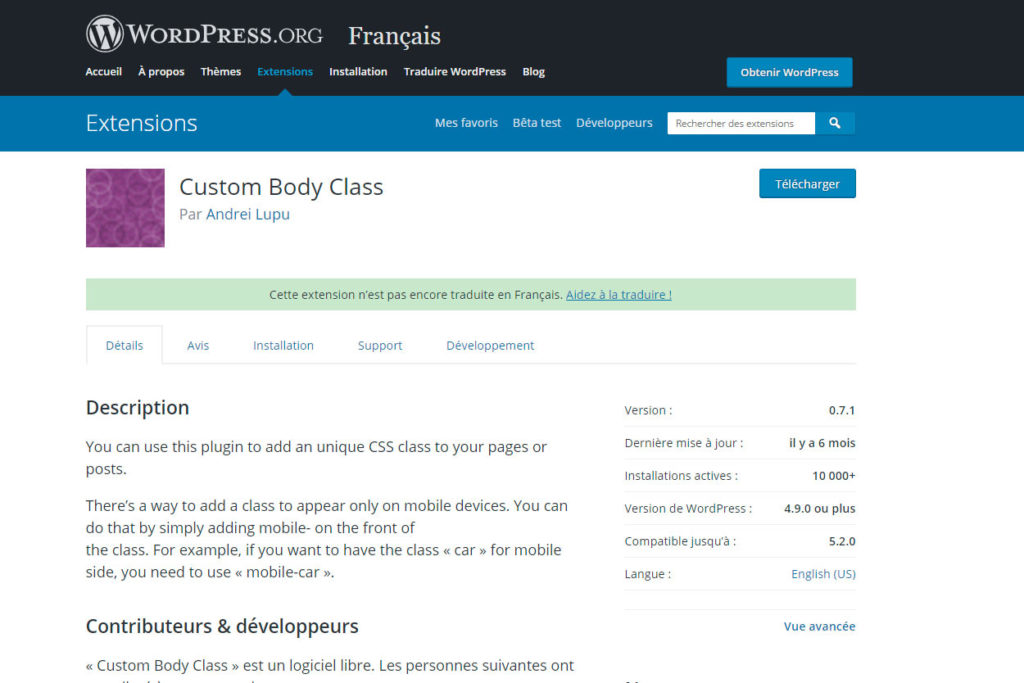 Webdesigner freelance plugin Wordpress Custom Body CSS