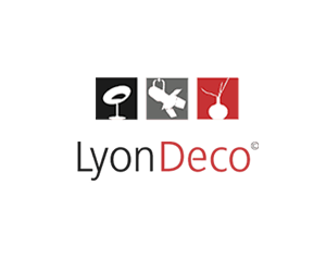 Conception graphique lyon-deco - par webdesigner freelance