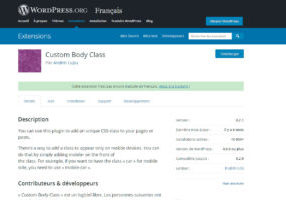 Webdesigner freelance plugin WordPress Custom Body CSS
